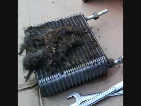 Dirty evaporator core - air conditiong system honda pilot - A+ Japanese Auto Repair
